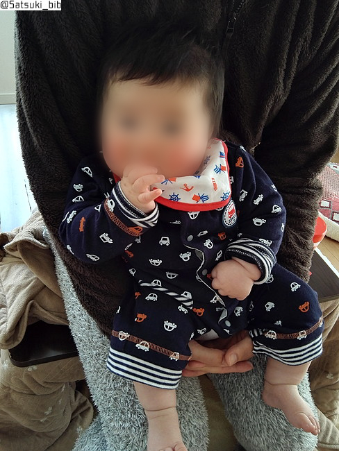 f:id:Satsuki_bib:20181108152131j:plain f:id:Satsuki_bib:20181108152131j:plain