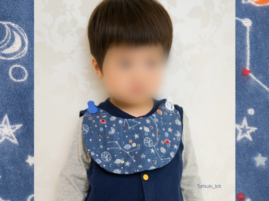 f:id:Satsuki_bib:20181112154705j:plain