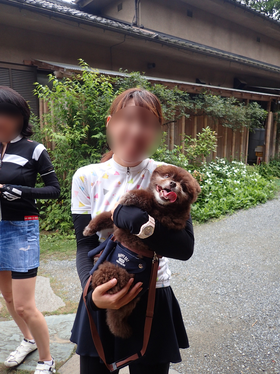 f:id:SaturdayRideFever:20190709234229j:plain