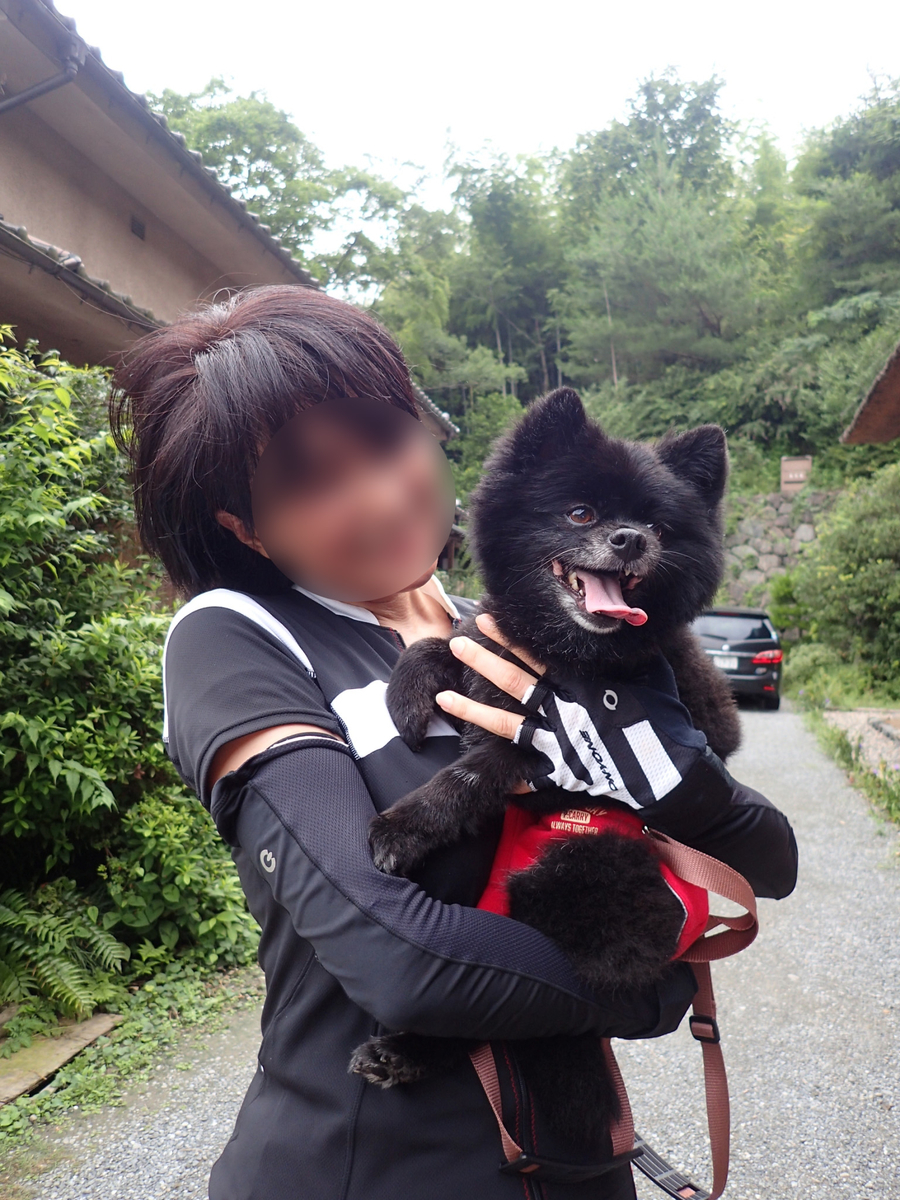 f:id:SaturdayRideFever:20190709234258j:plain
