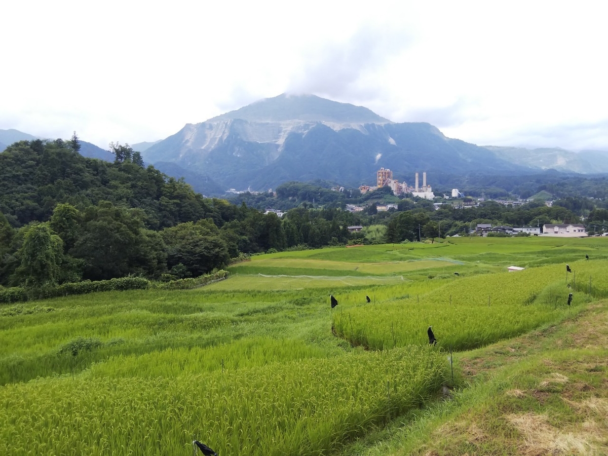 f:id:SaturdayRideFever:20190815071507j:plain