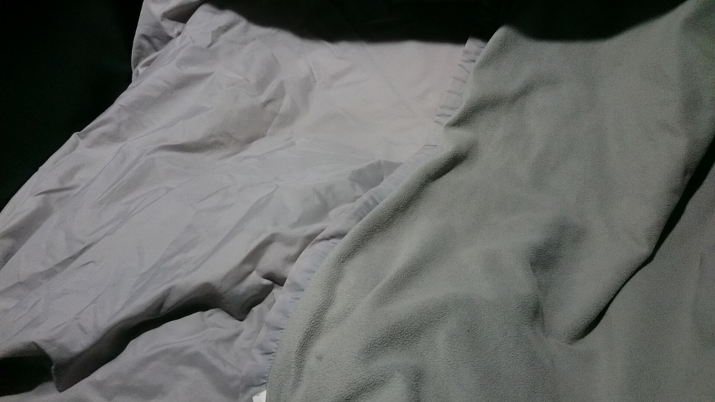 f:id:Saturnsaturn:20190105231607j:plain