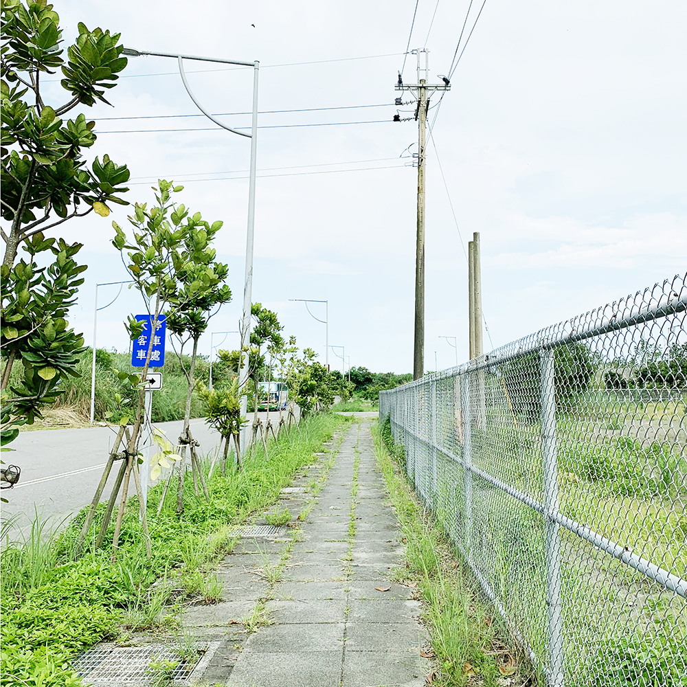 どことなしか沖縄に似ている道