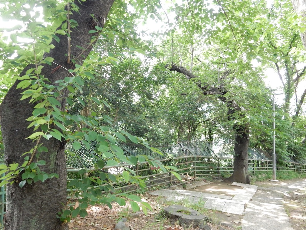 f:id:SchwarzerRegenwurm:20210524210721j:image