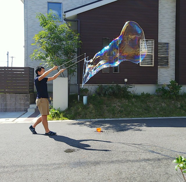 f:id:ScienceMore:20191015125003j:plain