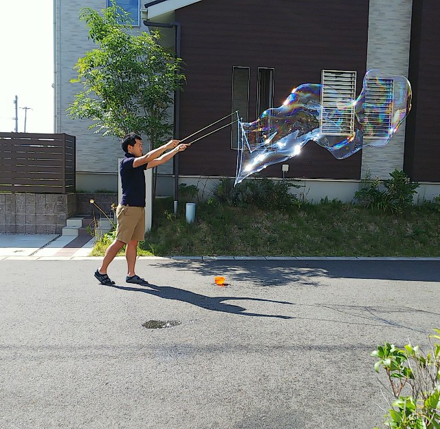 f:id:ScienceMore:20191015125006j:plain