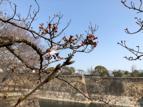 f:id:Scizor2:20190327212201j:plain f:id:Scizor2:20190327212201j:plain