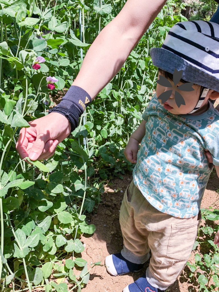 f:id:Sco-mama:20180501153009j:plain f:id:Sco-mama:20180501153009j:plain