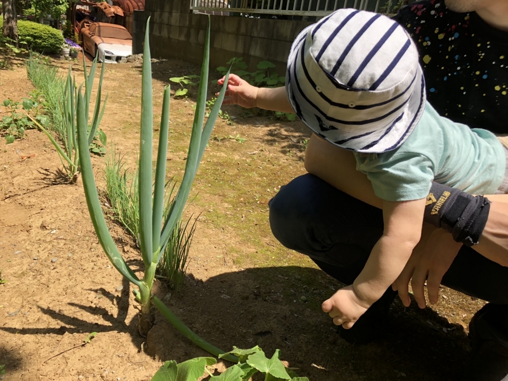 f:id:Sco-mama:20180501153056j:plain f:id:Sco-mama:20180501153056j:plain