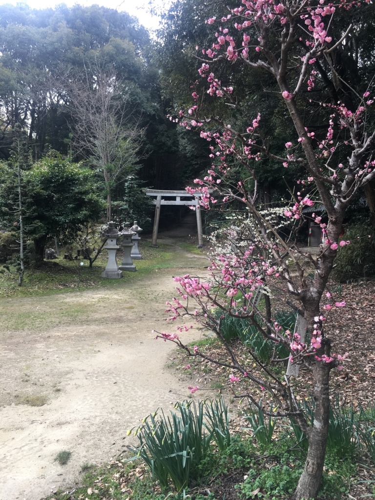 f:id:ScotchHayama:20180318091023j:plain