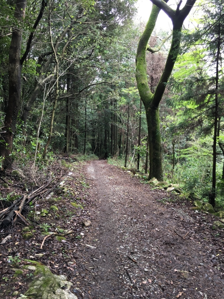 f:id:ScotchHayama:20180415122326j:plain f:id:ScotchHayama:20180415122326j:plain