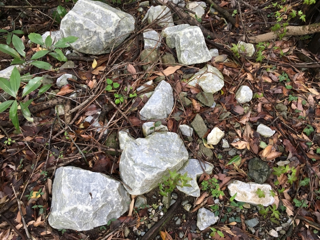 f:id:ScotchHayama:20180415123027j:plain f:id:ScotchHayama:20180415123027j:plain