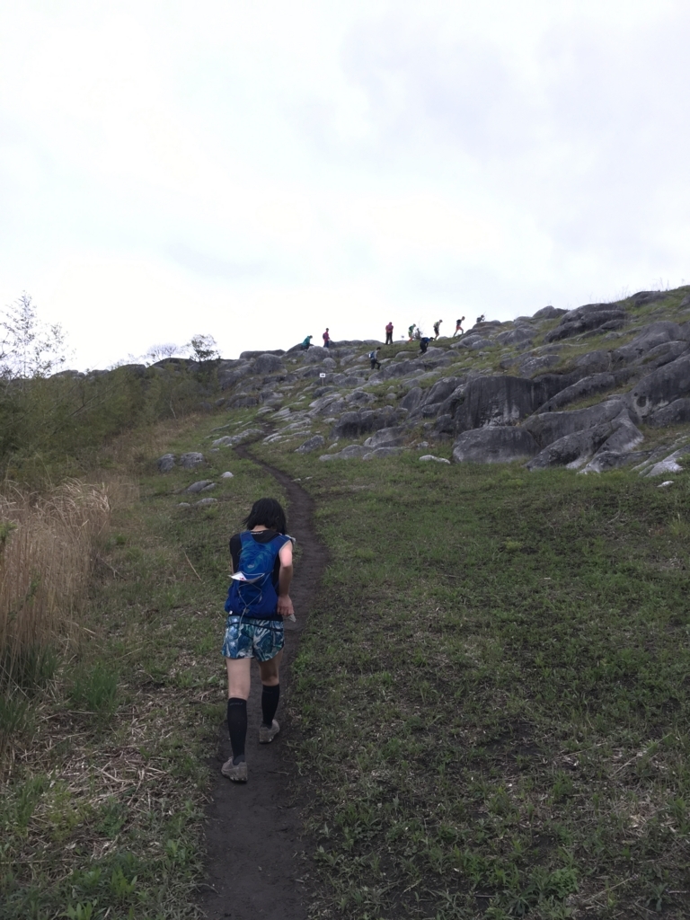 f:id:ScotchHayama:20180415124207j:plain f:id:ScotchHayama:20180415124207j:plain