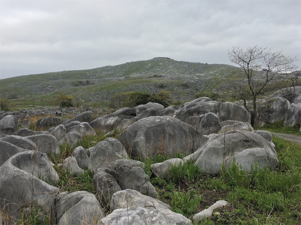 f:id:ScotchHayama:20180416145105j:image f:id:ScotchHayama:20180416145105j:image