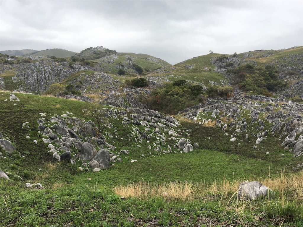 f:id:ScotchHayama:20180416145201j:image f:id:ScotchHayama:20180416145201j:image