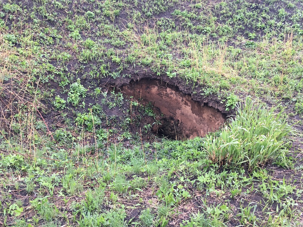 f:id:ScotchHayama:20180416145254j:image f:id:ScotchHayama:20180416145254j:image