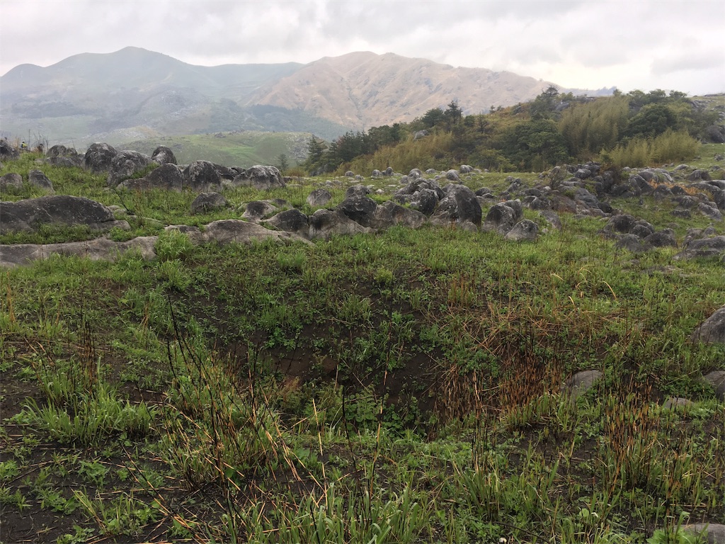 f:id:ScotchHayama:20180416145321j:image f:id:ScotchHayama:20180416145321j:image