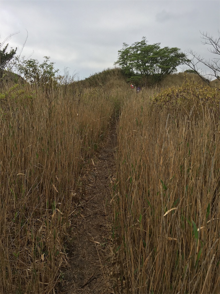 f:id:ScotchHayama:20180416145959j:image f:id:ScotchHayama:20180416145959j:image