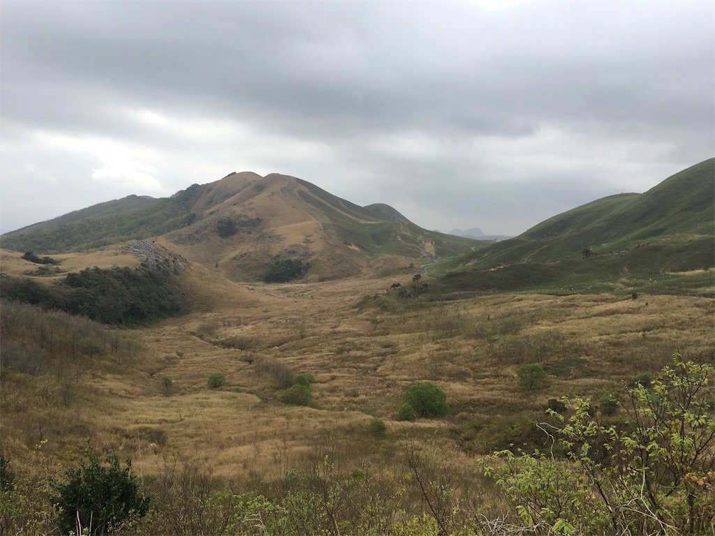 f:id:ScotchHayama:20180416151247j:image f:id:ScotchHayama:20180416151247j:image