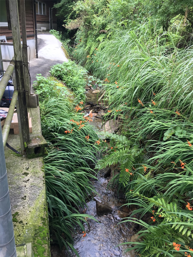 f:id:ScotchHayama:20180710091919j:image f:id:ScotchHayama:20180710091919j:image
