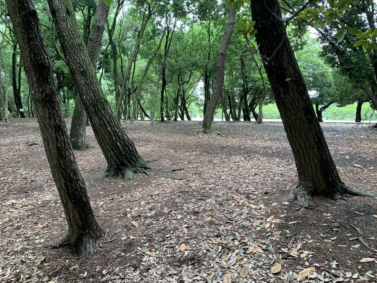 f:id:ScotchHayama:20190714120453j:plain