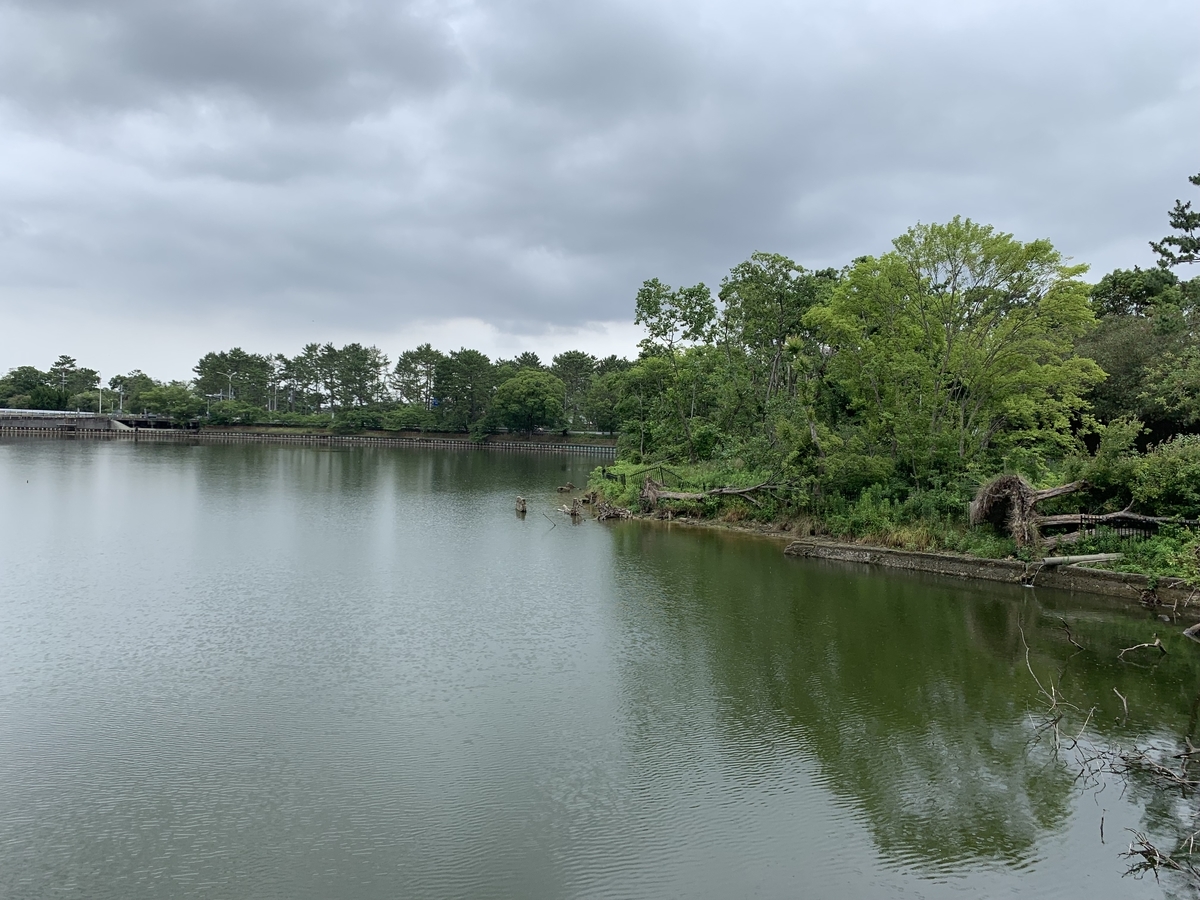 f:id:ScotchHayama:20190714121114j:plain