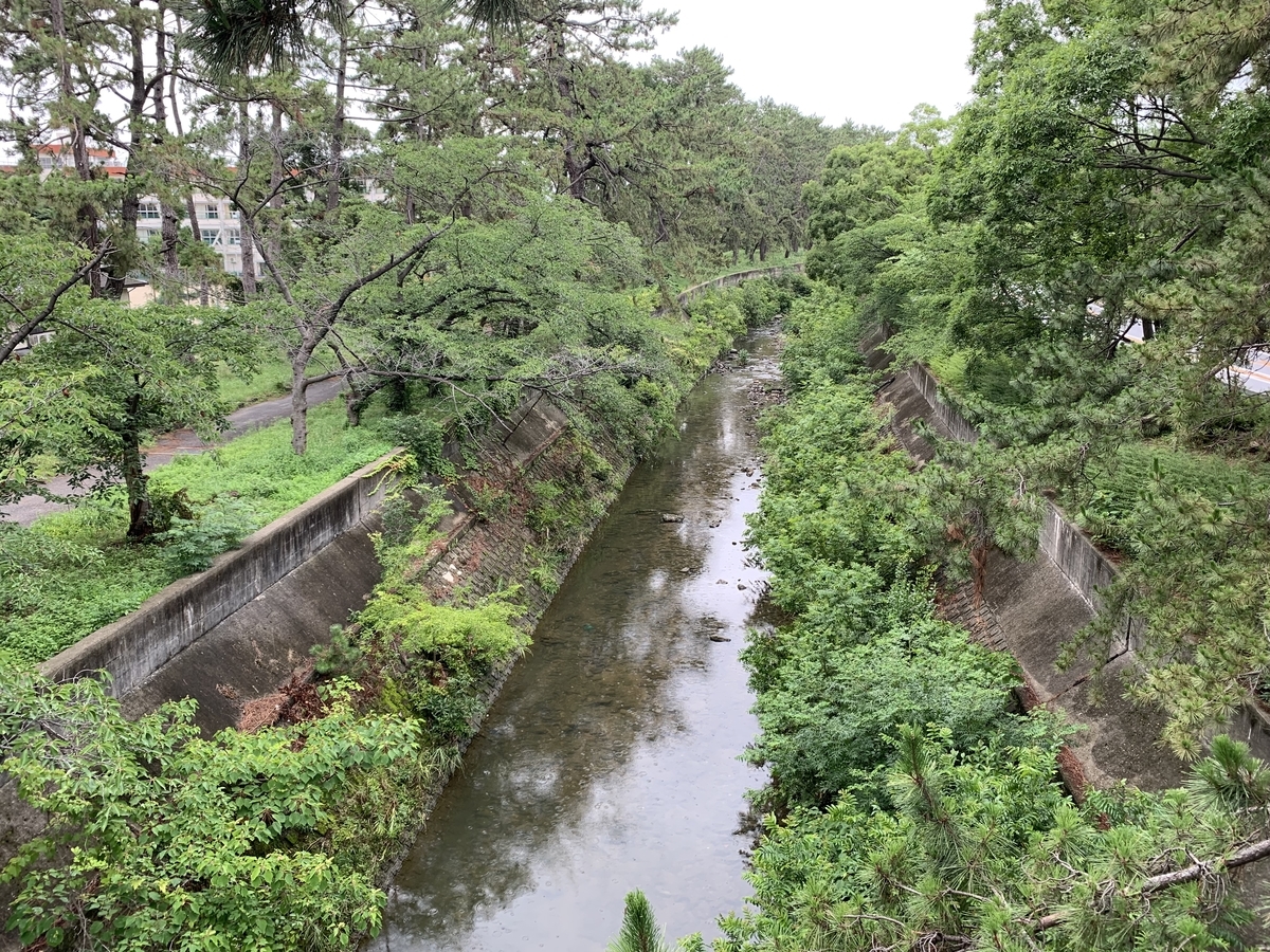 f:id:ScotchHayama:20190714121340j:plain