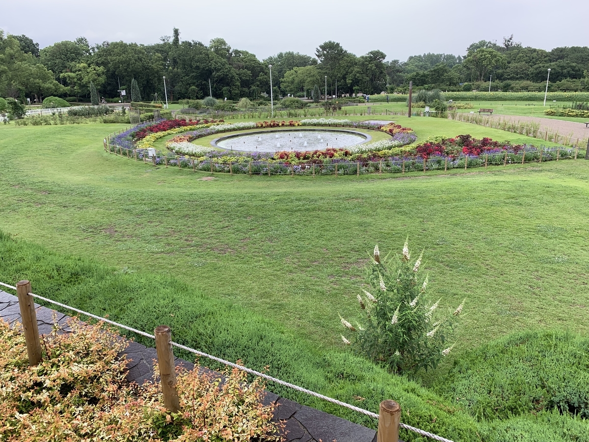 f:id:ScotchHayama:20190714123908j:plain