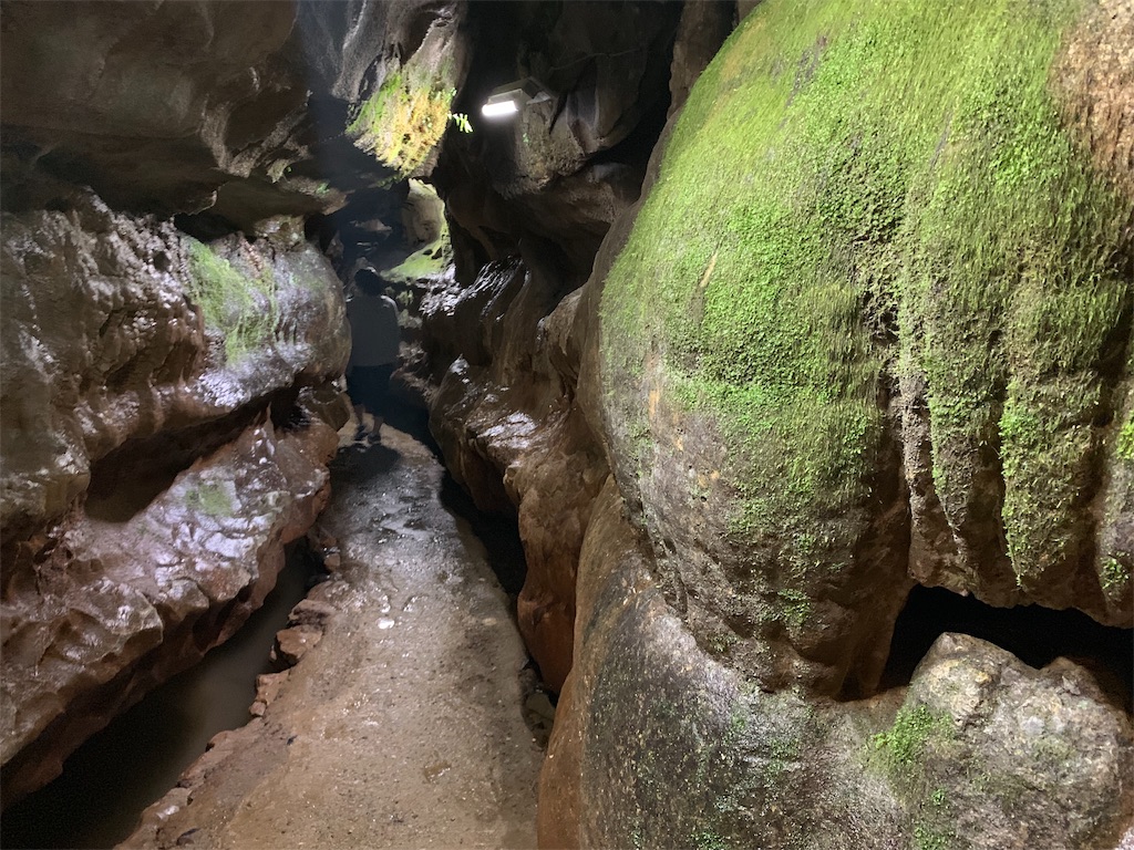 f:id:ScotchHayama:20190815152008j:image f:id:ScotchHayama:20190815152008j:image