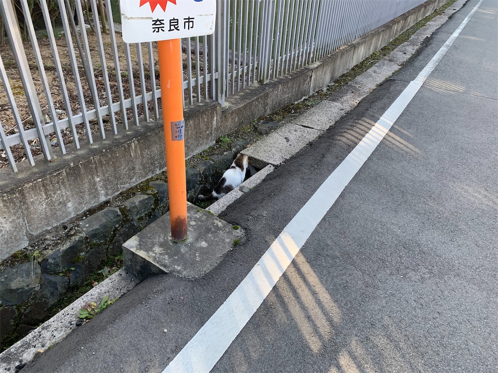 f:id:ScotchHayama:20200224191221j:image