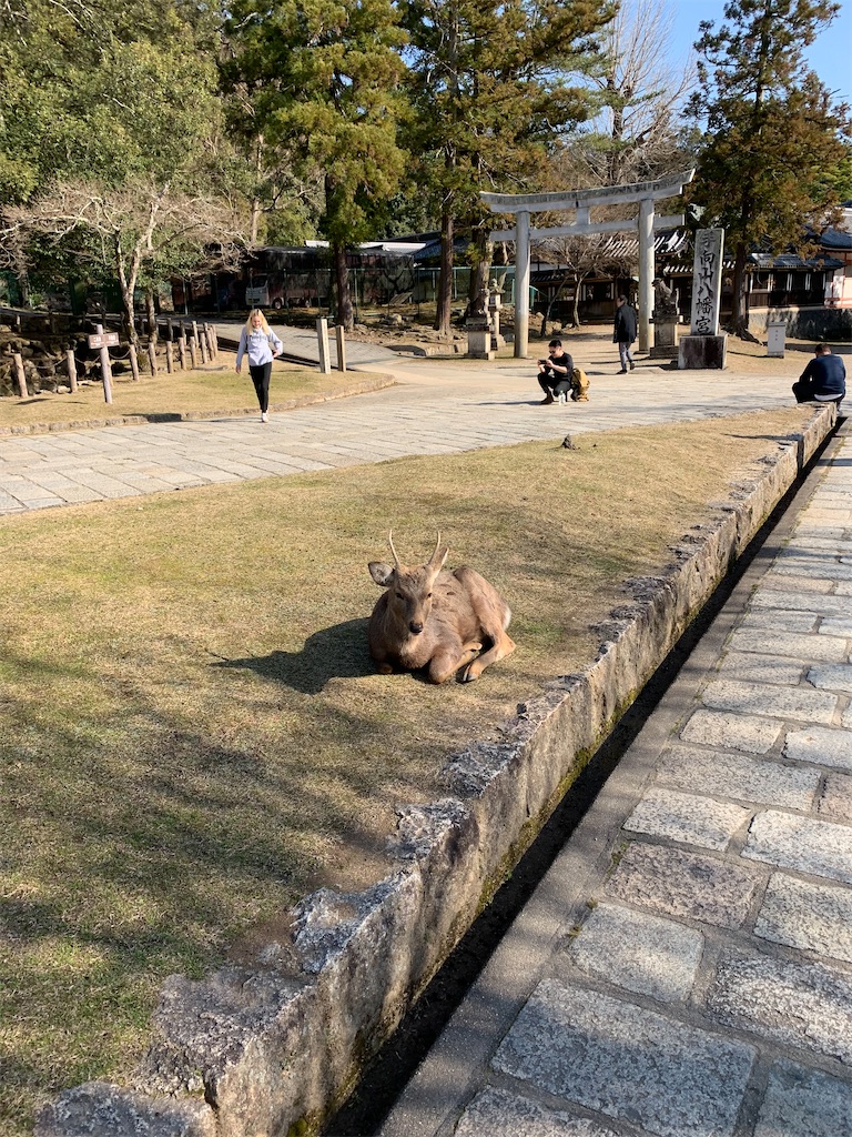 f:id:ScotchHayama:20200224191533j:image