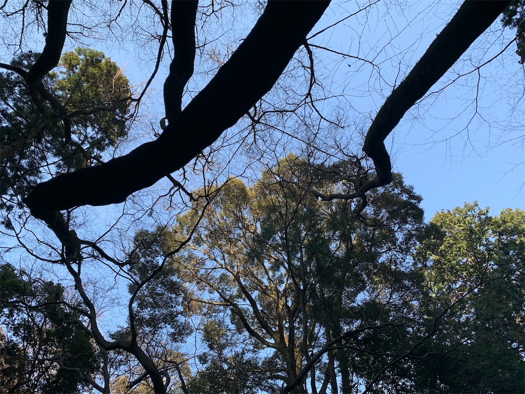 f:id:ScotchHayama:20200224192118j:image
