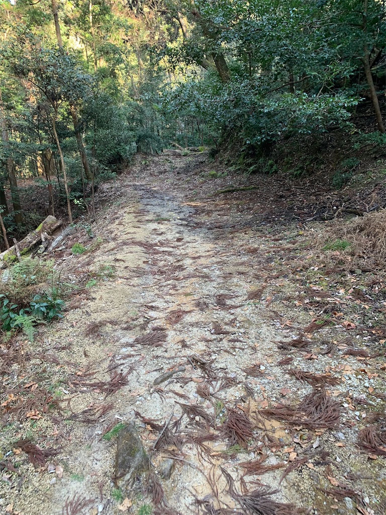 f:id:ScotchHayama:20200224192312j:image