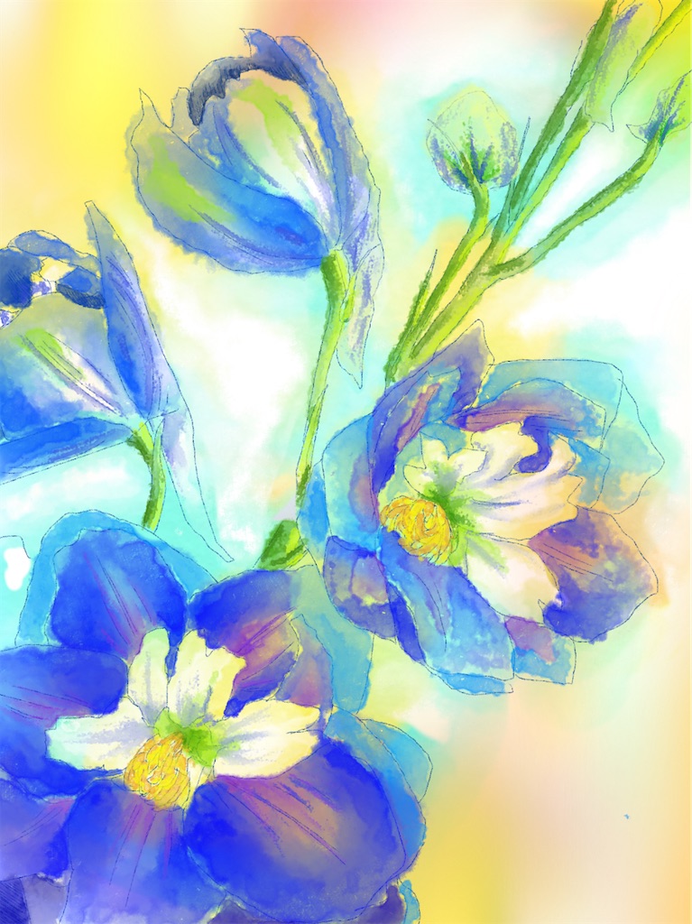 f:id:Sea0322:20210526231128j:image f:id:Sea0322:20210526231128j:image
