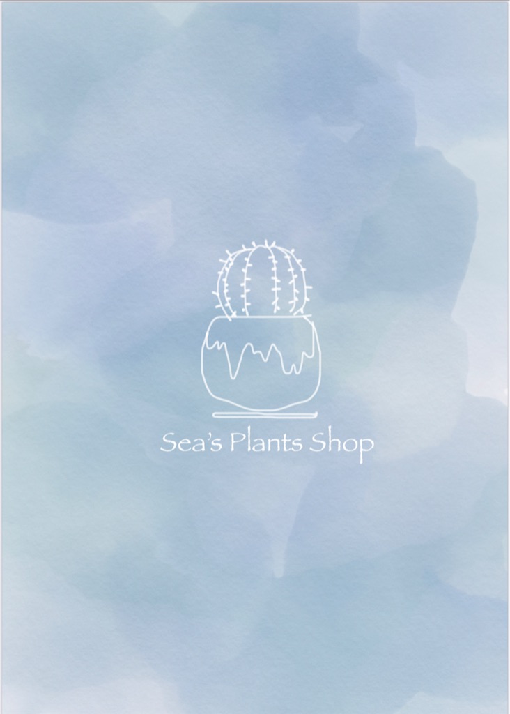 f:id:Sea0322:20210526231400j:image f:id:Sea0322:20210526231400j:image