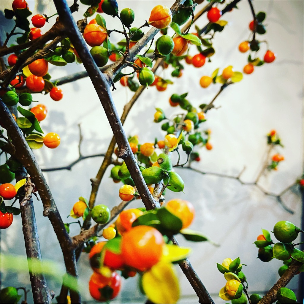f:id:Sea0322:20210921144536j:image