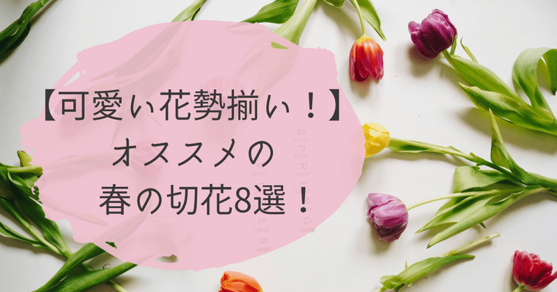 可愛い花勢揃い 花屋で買えるオススメの春の切花8選 ひとりでハナログ