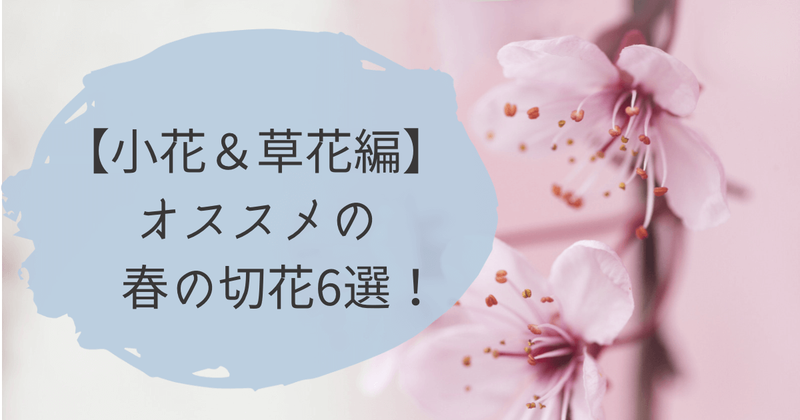 可憐で可愛い 花屋で買えるオススメの春の切花6選 小花 草花編 ひとりでハナログ