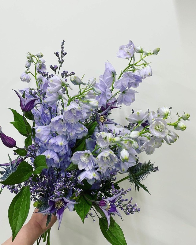 花屋が教える 6月が美しいオススメの切花9選 ひとりでハナログ 花屋が教える 6月が美しいオススメの切花9選 ひとりでハナログ