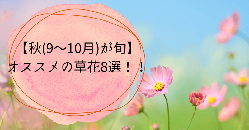 花屋が教える 秋 9月 10月 の旬のオススメ草花8選 ひとりでハナログ