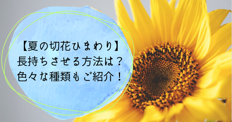 ひまわりの長持ちさせる方法　色々な種類をご紹介