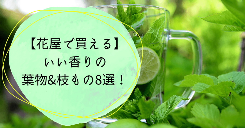 いい匂い　香りの葉物、枝もの、グリーンのご紹介