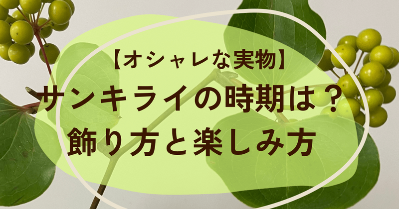 サンキライ　時期　飾り方　楽しみ方