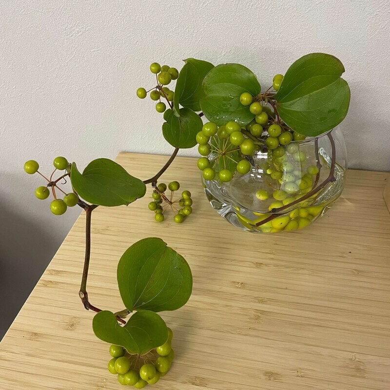 サンキライの飾り方