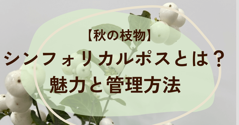 シンフォリカルポスの魅力と管理方法