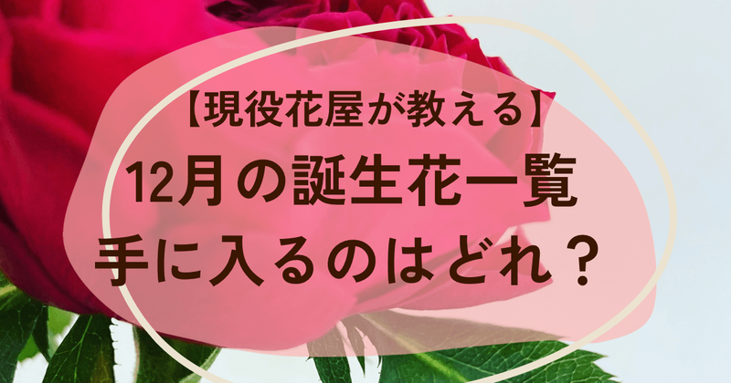 12月の誕生花