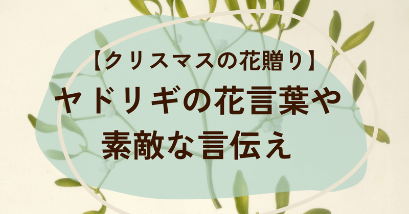 クリスマスのヤドリギの花言葉と言伝え　管理方法について