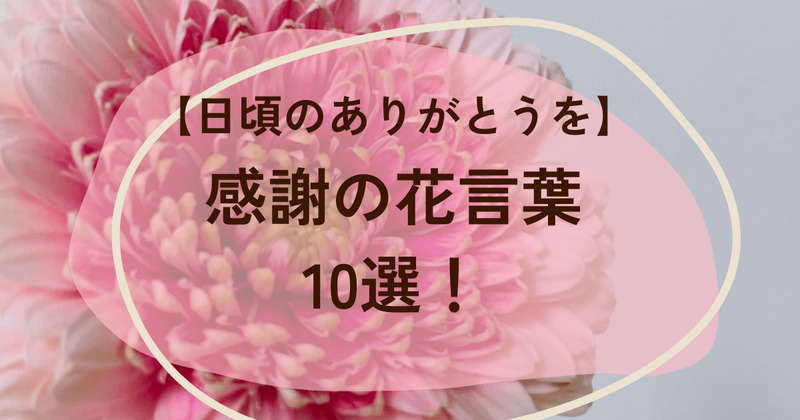感謝の花言葉