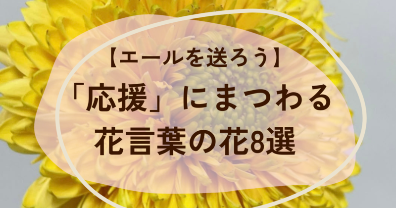 応援に関する花言葉の花