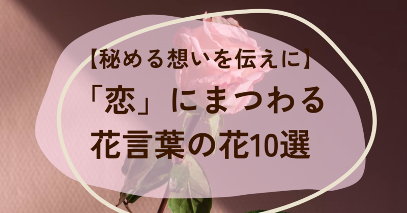 恋にまつわる花言葉10選